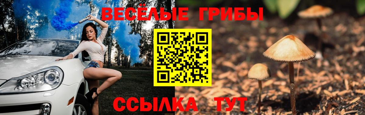 Галлюциногенные грибы ЛСД  Псилоцибиновые грибы ЛСД  Вход с VPN  Качканар 